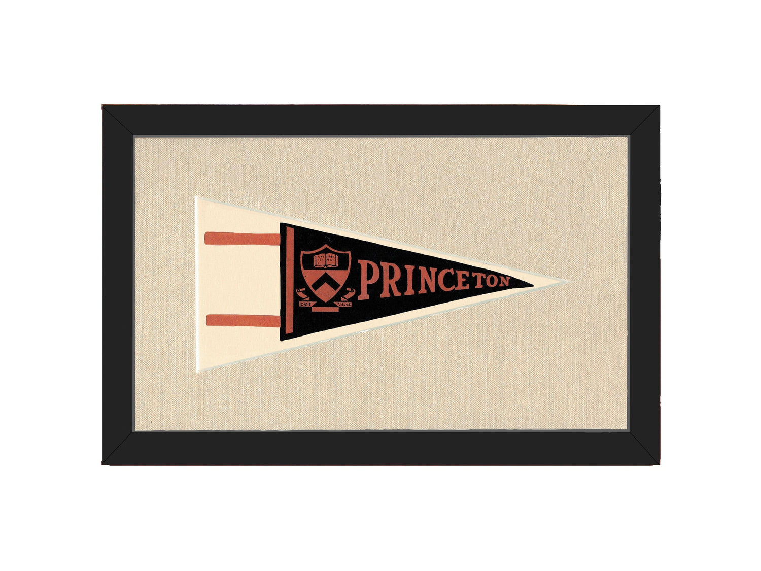Americana Memories Vintage Pennants and Memorabilia Vintage Princeton Pennant