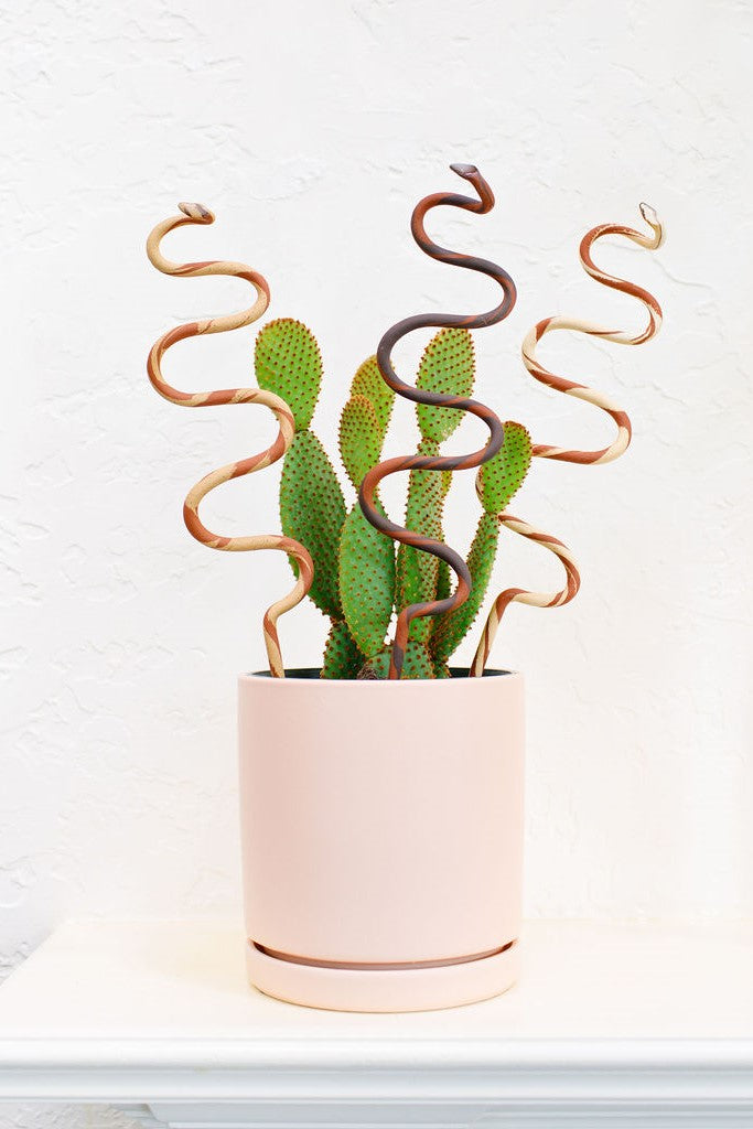 Ceramic Plant Snake Stake - My American Goods