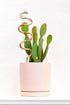 Ceramic Plant Snake Stake - My American Goods