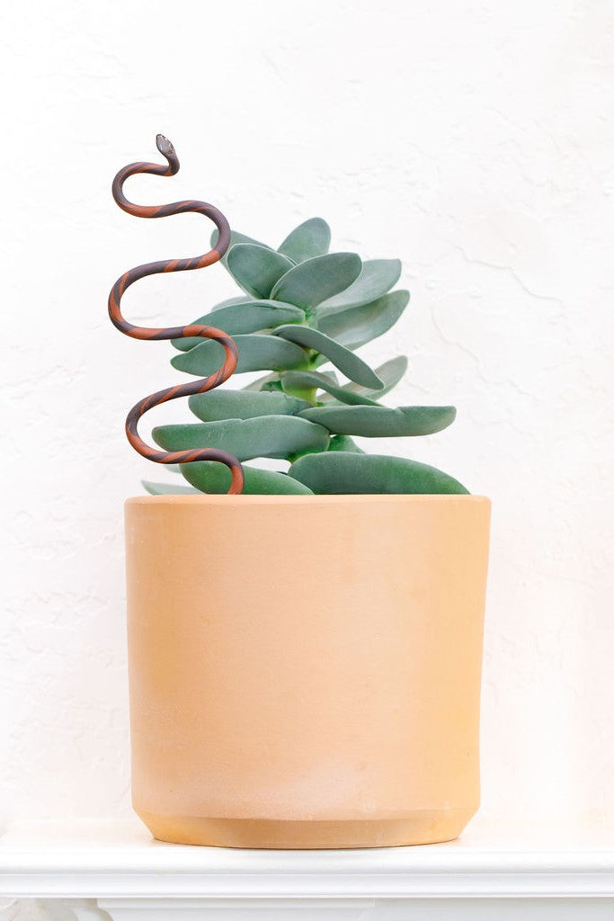 Ceramic Plant Snake Stake - My American Goods