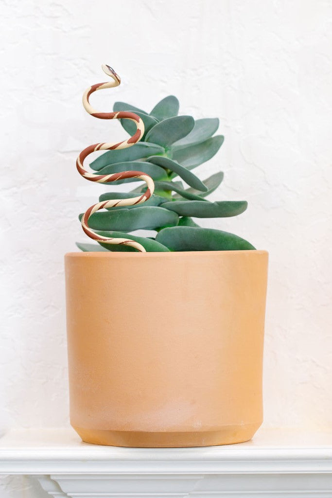 Ceramic Plant Snake Stake - My American Goods