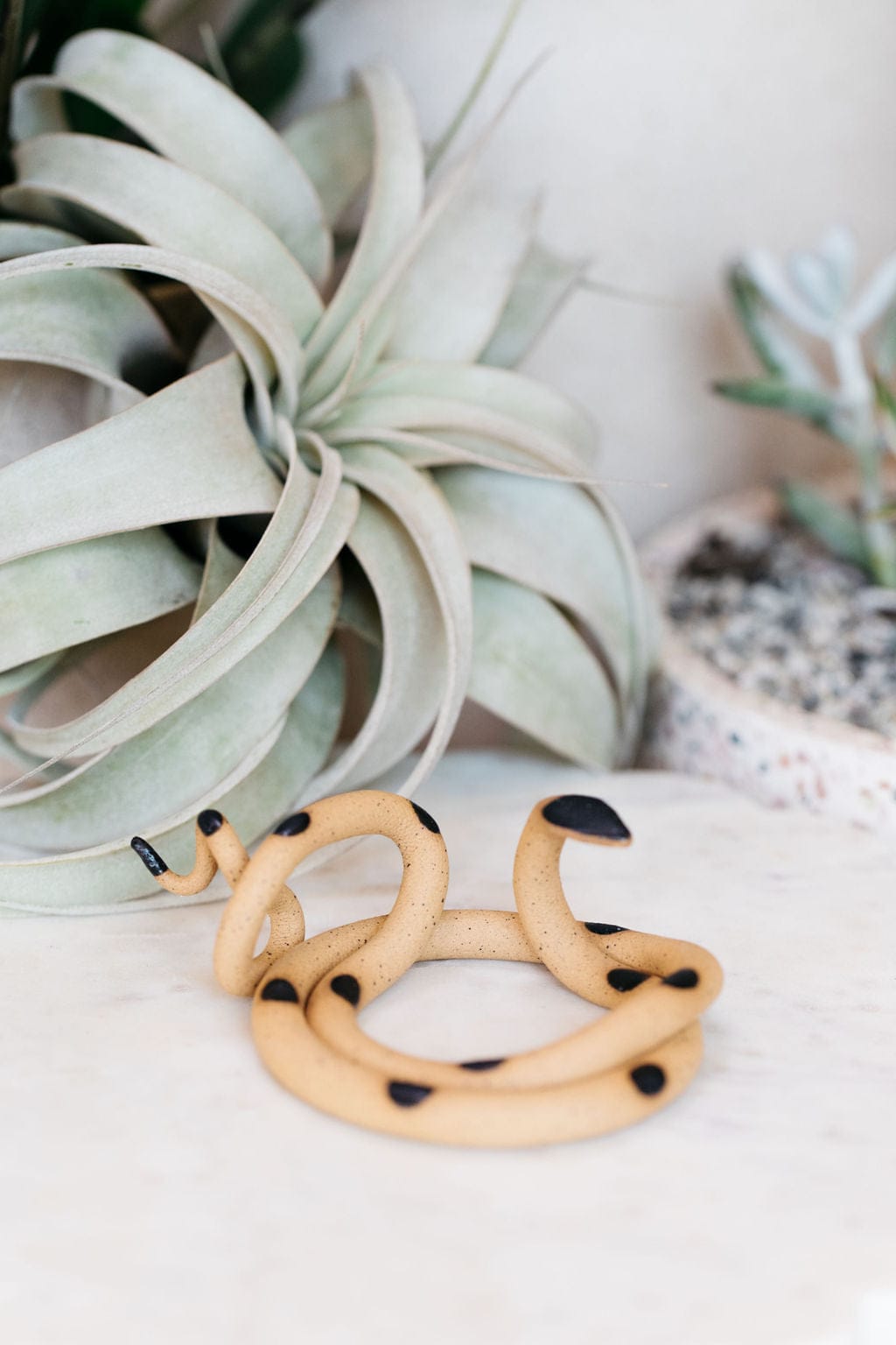 Carter + Rose Sammy / Without plant Medium Ceramic Snake