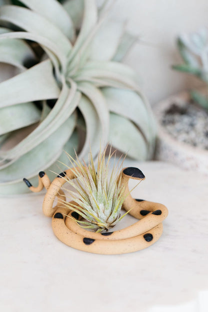 Carter + Rose Sammy / With plant Medium Ceramic Snake