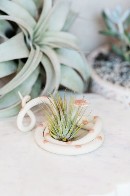 Carter + Rose Sofie / With plant Medium Ceramic Snake