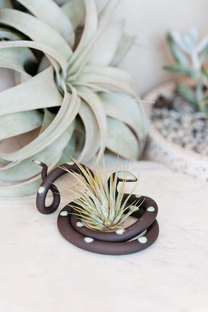 Carter + Rose Stevie / With plant Medium Ceramic Snake
