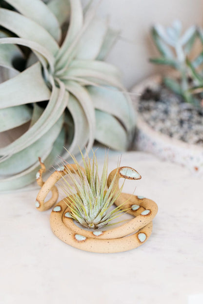 Carter + Rose Selma / With plant Medium Ceramic Snake