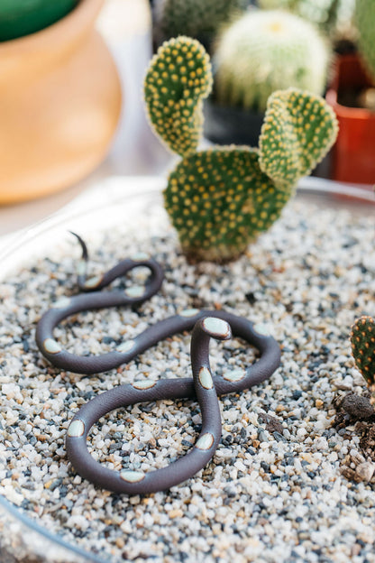 Small Ceramic Snake - My American Goods