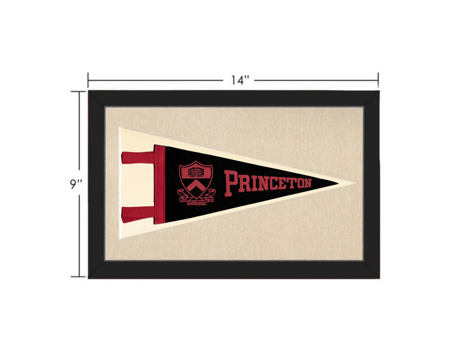 Vintage Princeton University Pennant