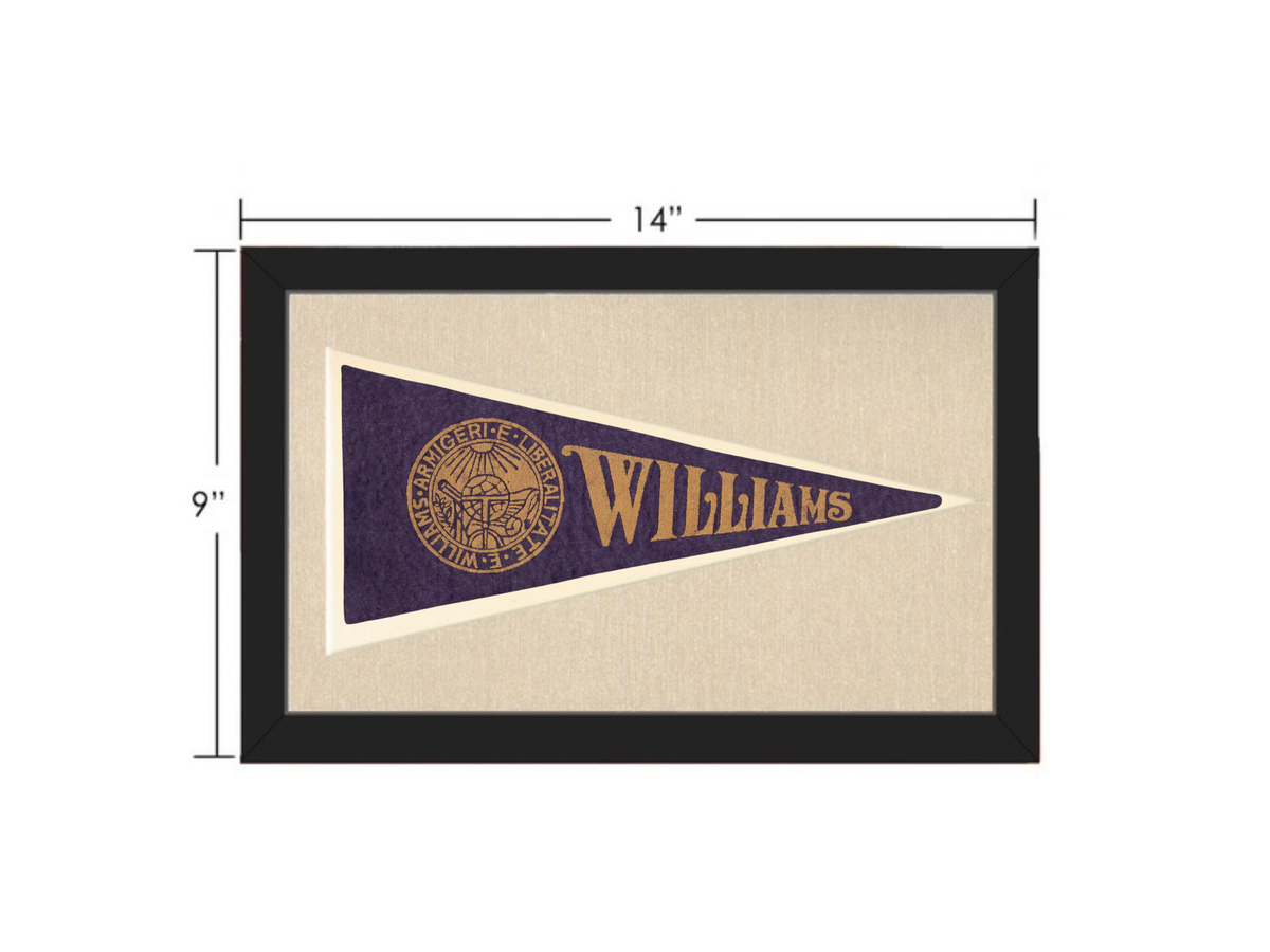 Vintage Williams College Pennant