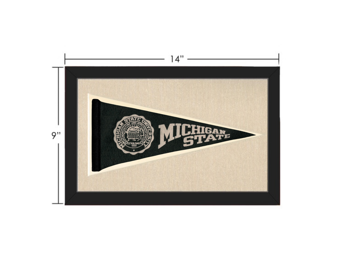 Vintage Michigan State Pennant
