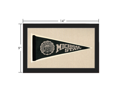 Vintage Michigan State Pennant