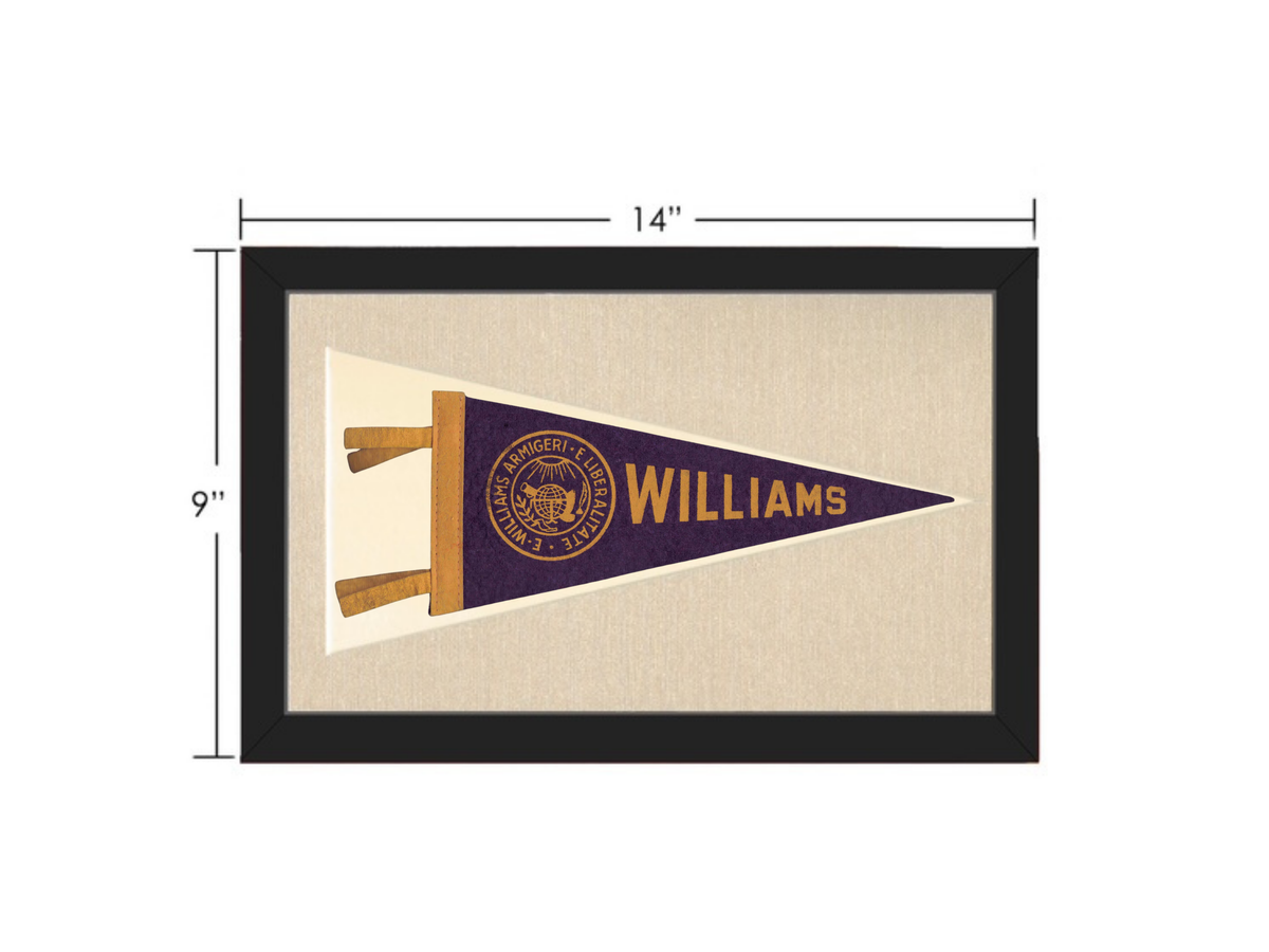 Vintage Williams College Pennant