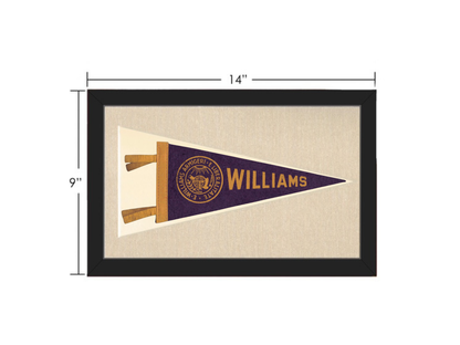 Vintage Williams College Pennant