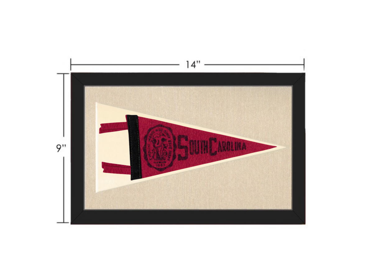 Vintage South Carolina Pennant