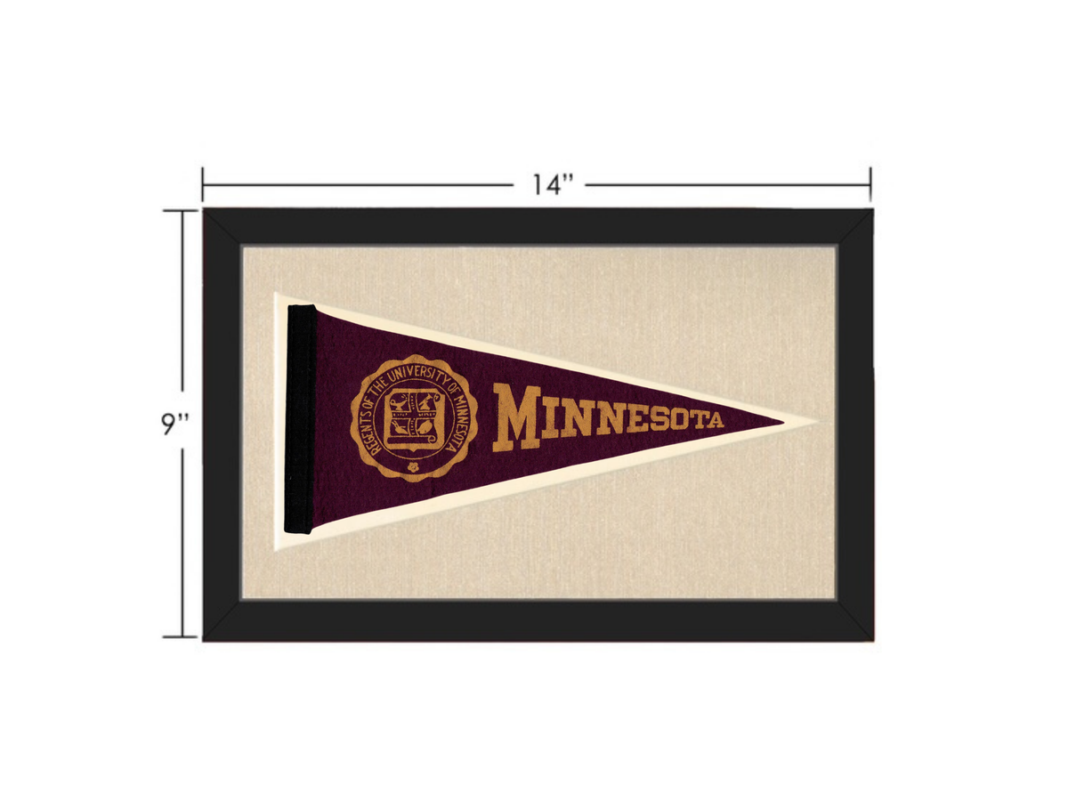 Vintage Minnesota Pennant