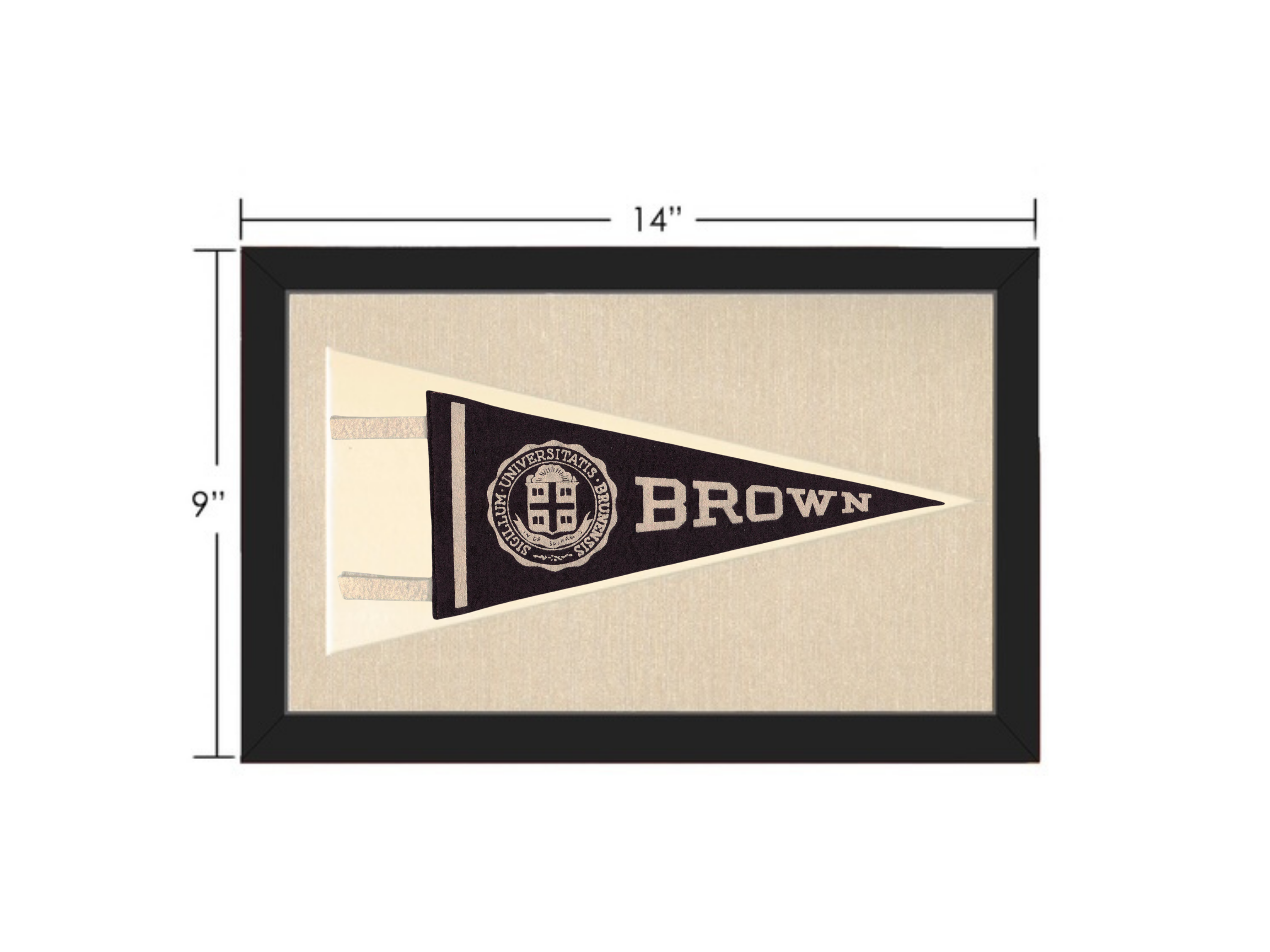 Vintage Brown University Pennant