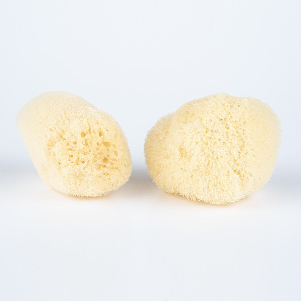 Sea Sponge - All Natural
