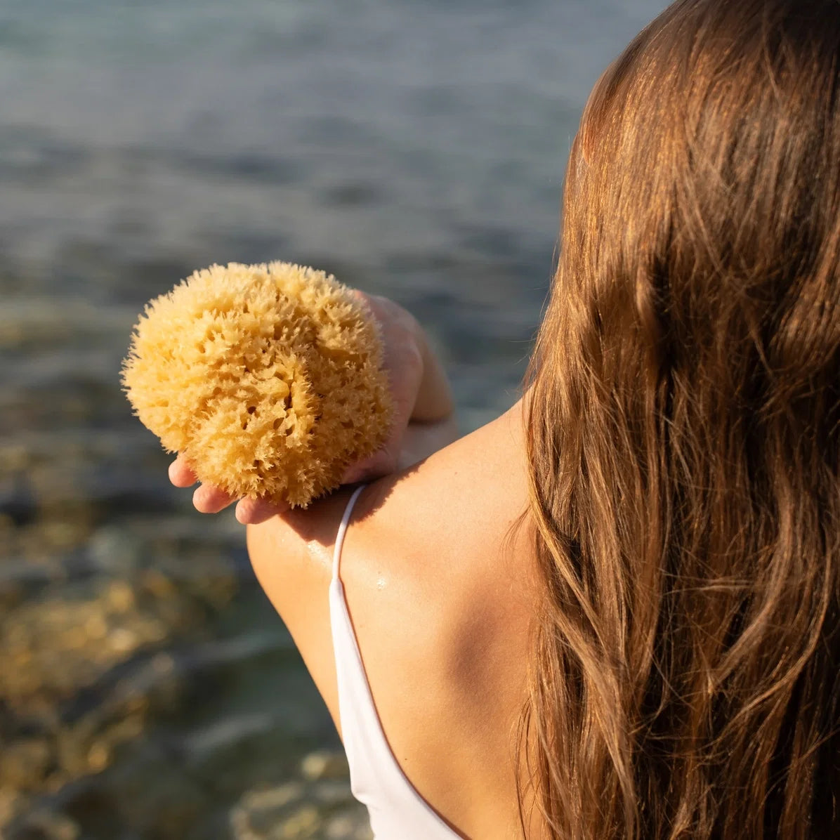 Sea Sponge - All Natural