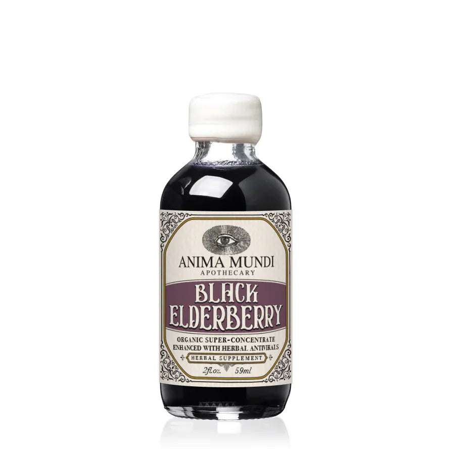 Anima Mundi BLACK ELDERBERRY Elixir | Botanical Mushroom Syrup