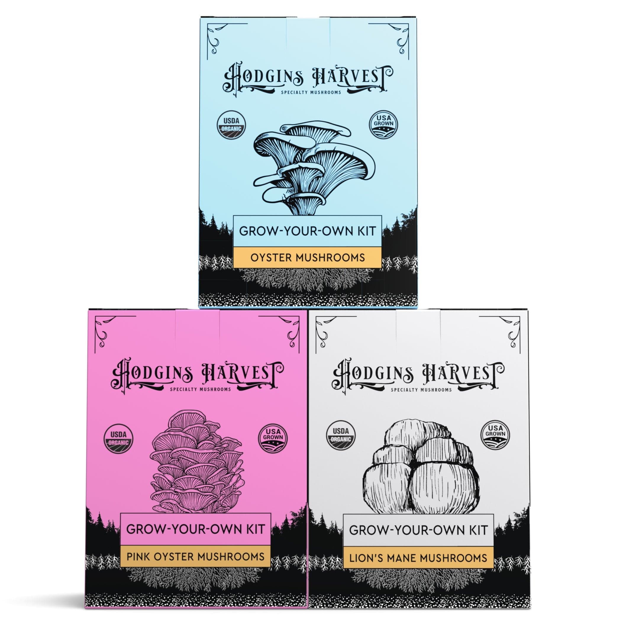 Hodgins Harvest Mushroom Growing Supplies 3-Pack of Organic Mushroom Grow Kits