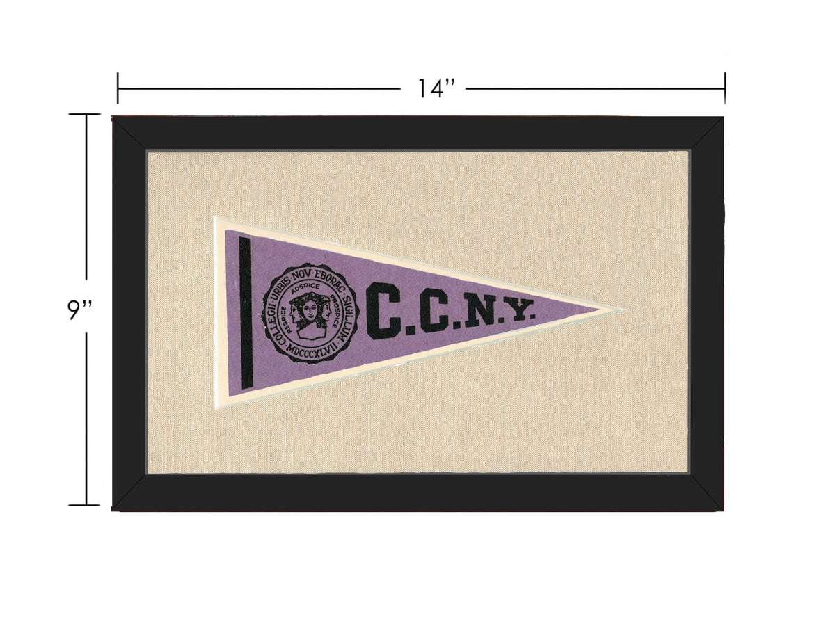 Americana Memories Vintage Pennants and Memorabilia Vintage City College of New York Pennant