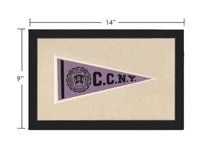 Americana Memories Vintage Pennants and Memorabilia Vintage City College of New York Pennant