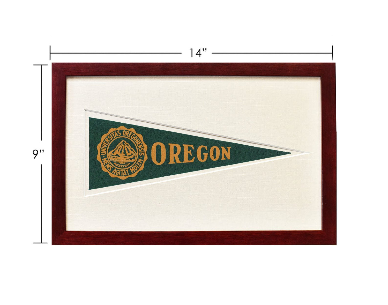 Americana Memories Vintage University of Oregon Hormel Pennant