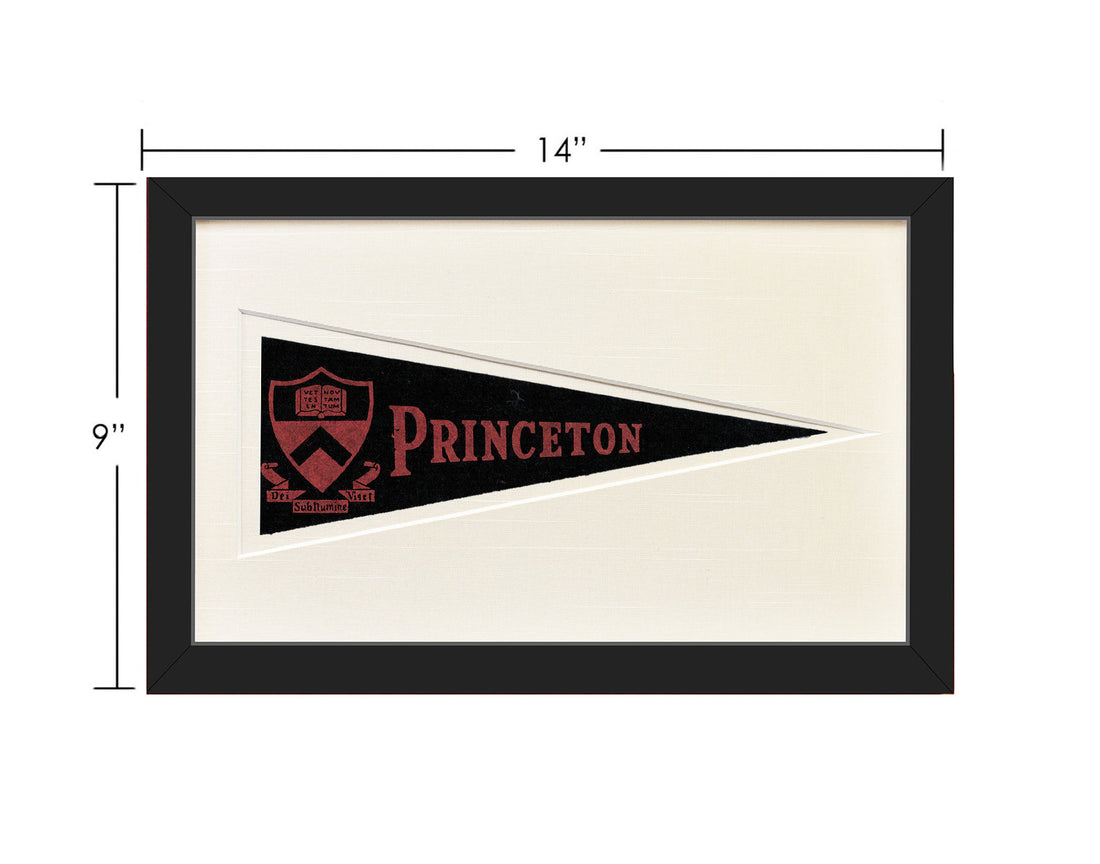 Vintage Princeton University Hormel Pennant