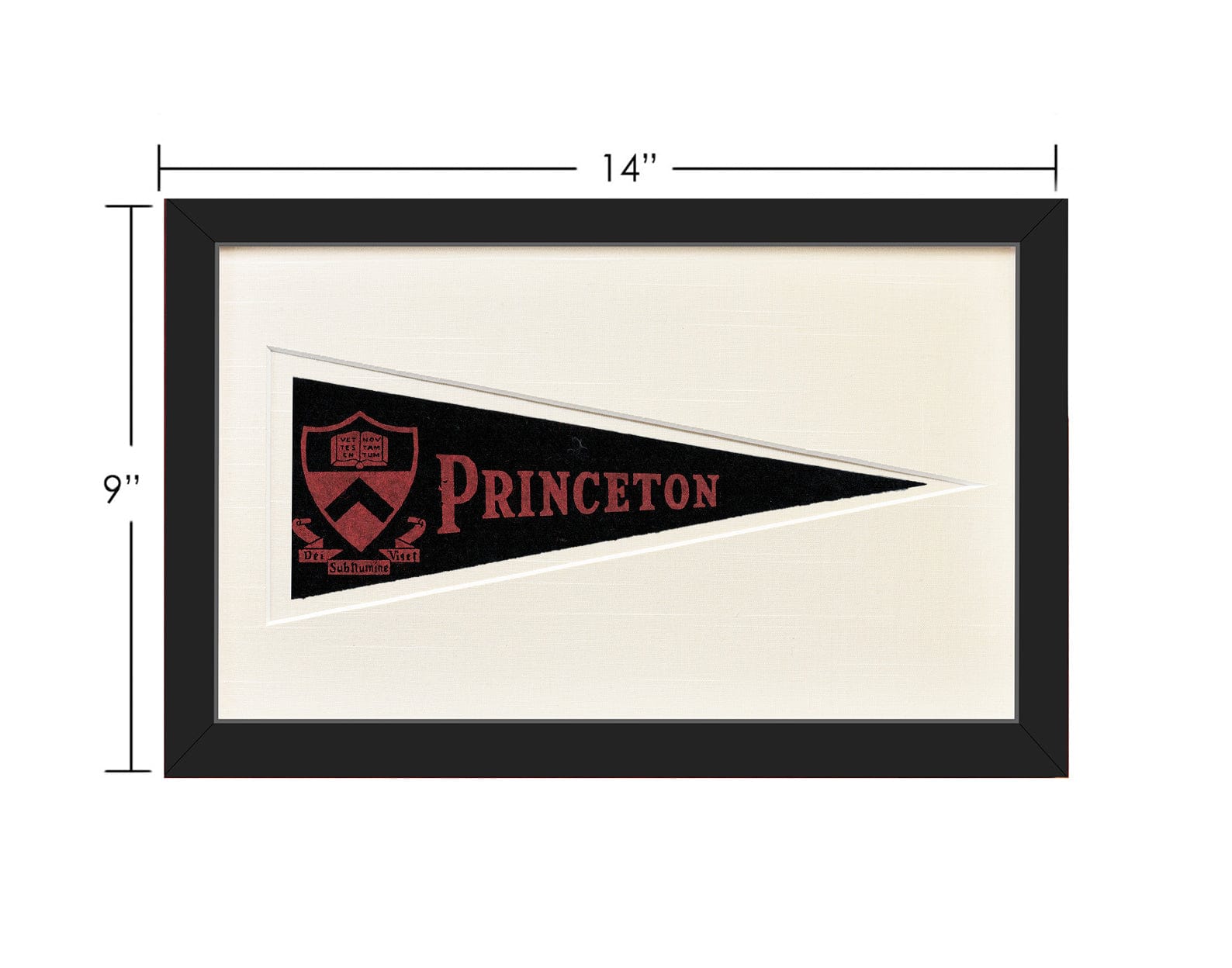 Americana Memories Vintage Princeton University Hormel Pennant