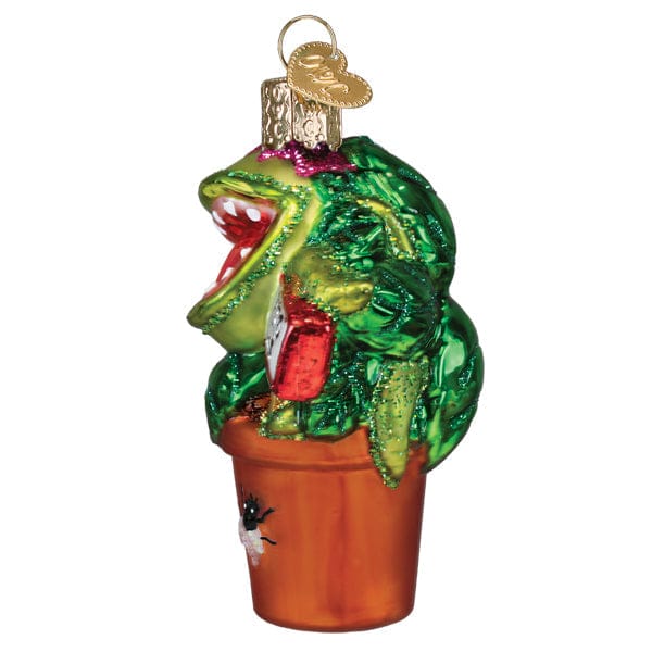 Old World Christmas 3.25 X 2.25 X 1.75 / 36352 Venus Fly Trap Ornament