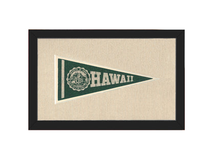 Vintage University of Hawaii Pennant