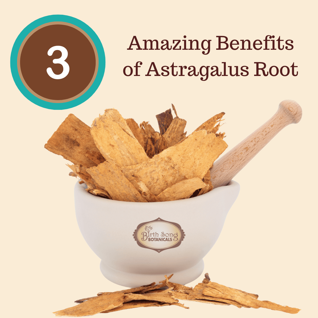 Birth Song Botanicals Co. Tinctures Astragalus Root Complex
