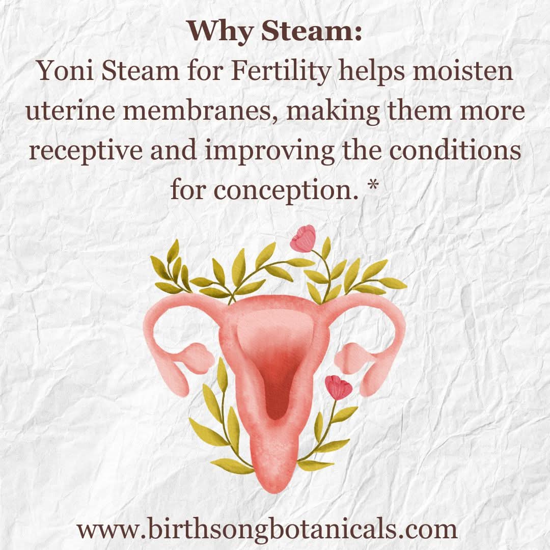 Birth Song Botanicals Co. Yoni steam Yoni Steam for Fertility* Organic Herbal Vaginal Steaming Blend to Support Fertility and Womb Health, V Steam Herb, Vaginal and Uterine Care 3 oz.