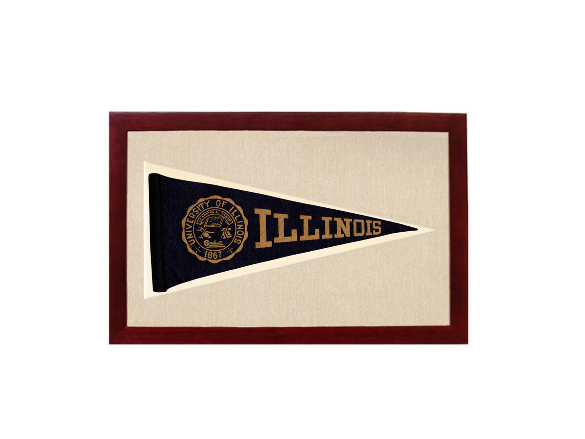 Vintage Illinois Pennant