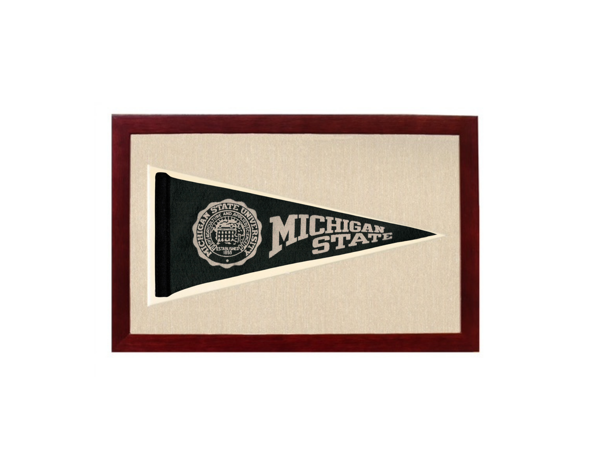 Vintage Michigan State Pennant