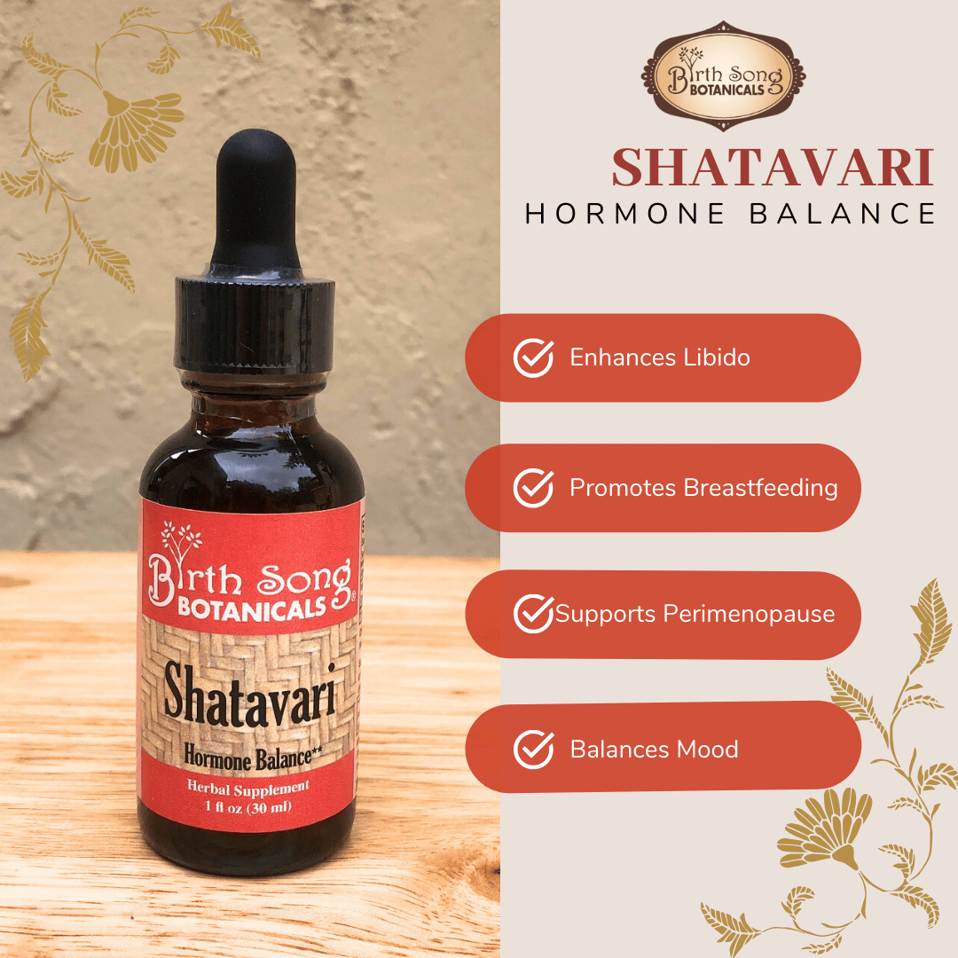 Birth Song Botanicals Co. Tinctures Shatavari Root Tincture Herbal Supplement 1 oz