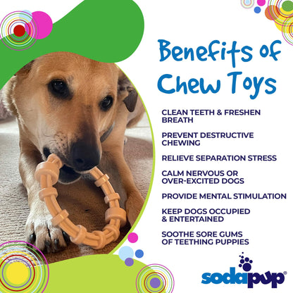 Chicken Flavored Teething Ring for Puppies &amp; Aggressive Chewers | USA Made
