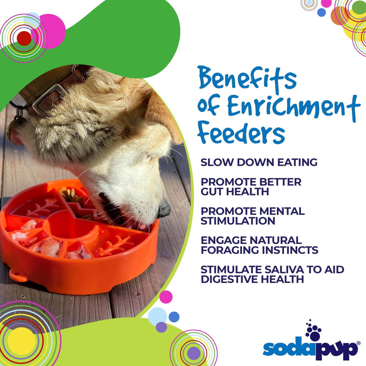 Great Outdoors eBowl - Slow Feeder Dog Bowl &amp; Enrichment | USA Made