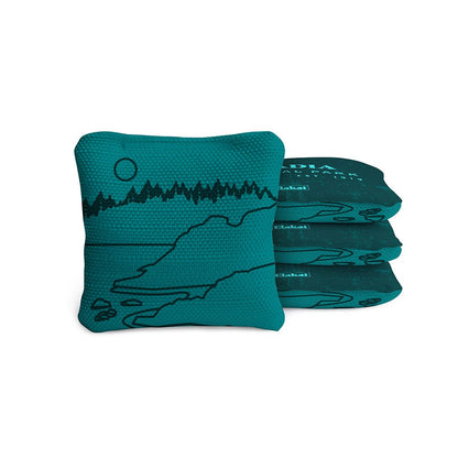 4-in Travel Dual-Sided Cornhole Bags | National Parks Collection
