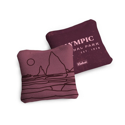 4-in Travel Dual-Sided Cornhole Bags | National Parks Collection