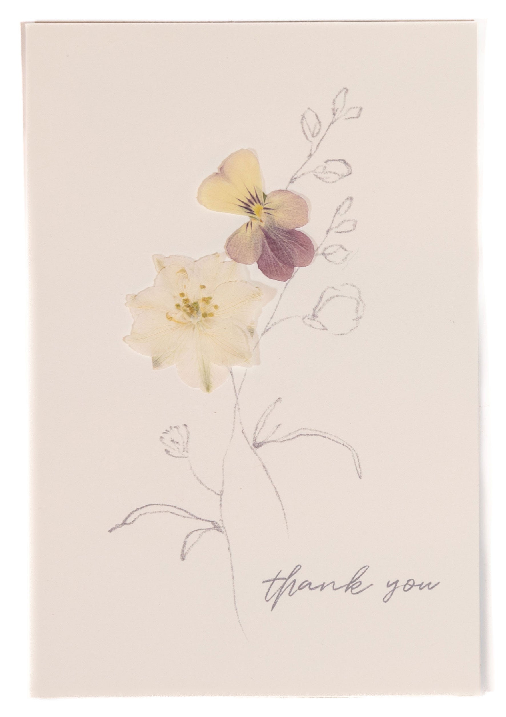 Thank You - White Larkspur Pressed Floral Stationery