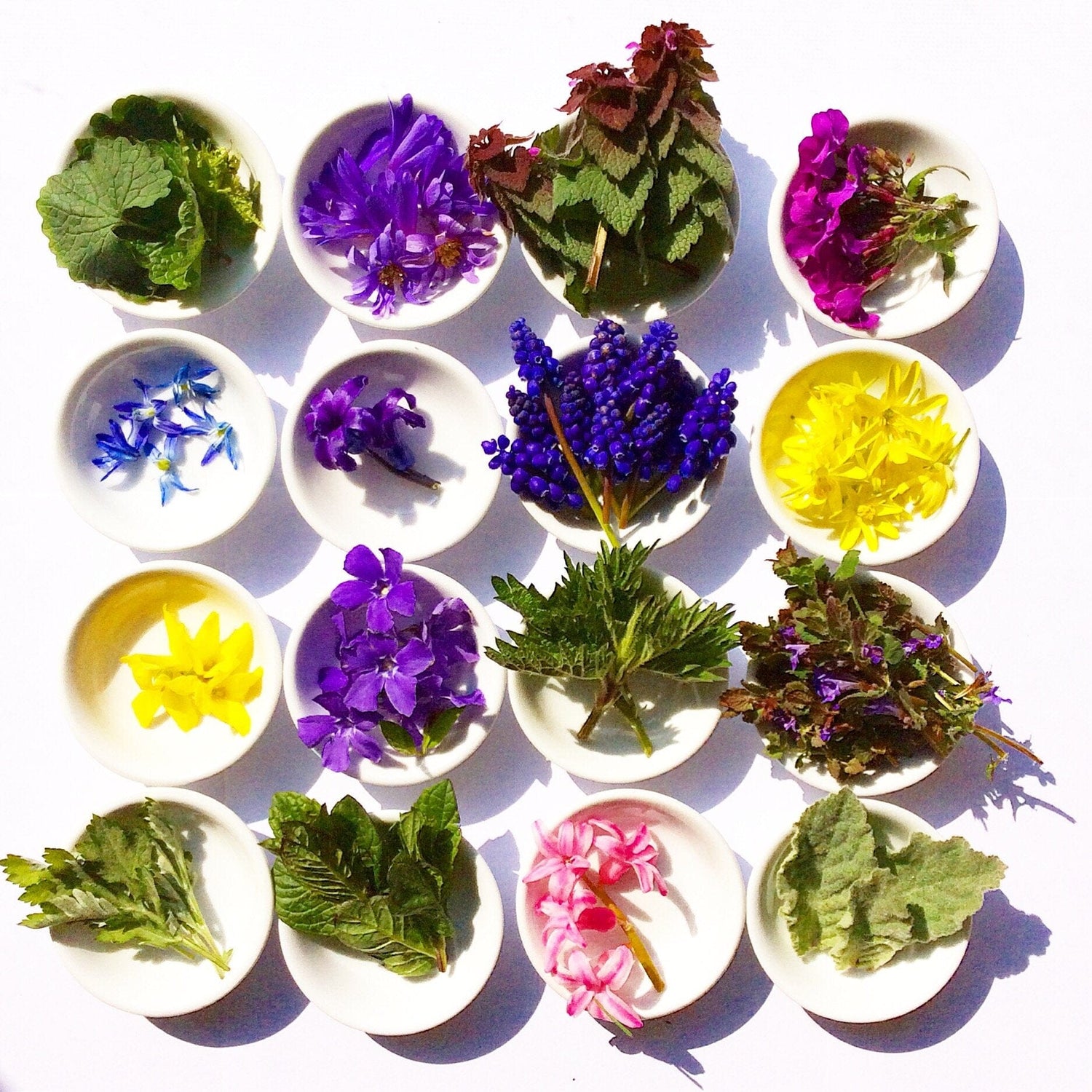 plant makeup Wild Flower Hair Serum
