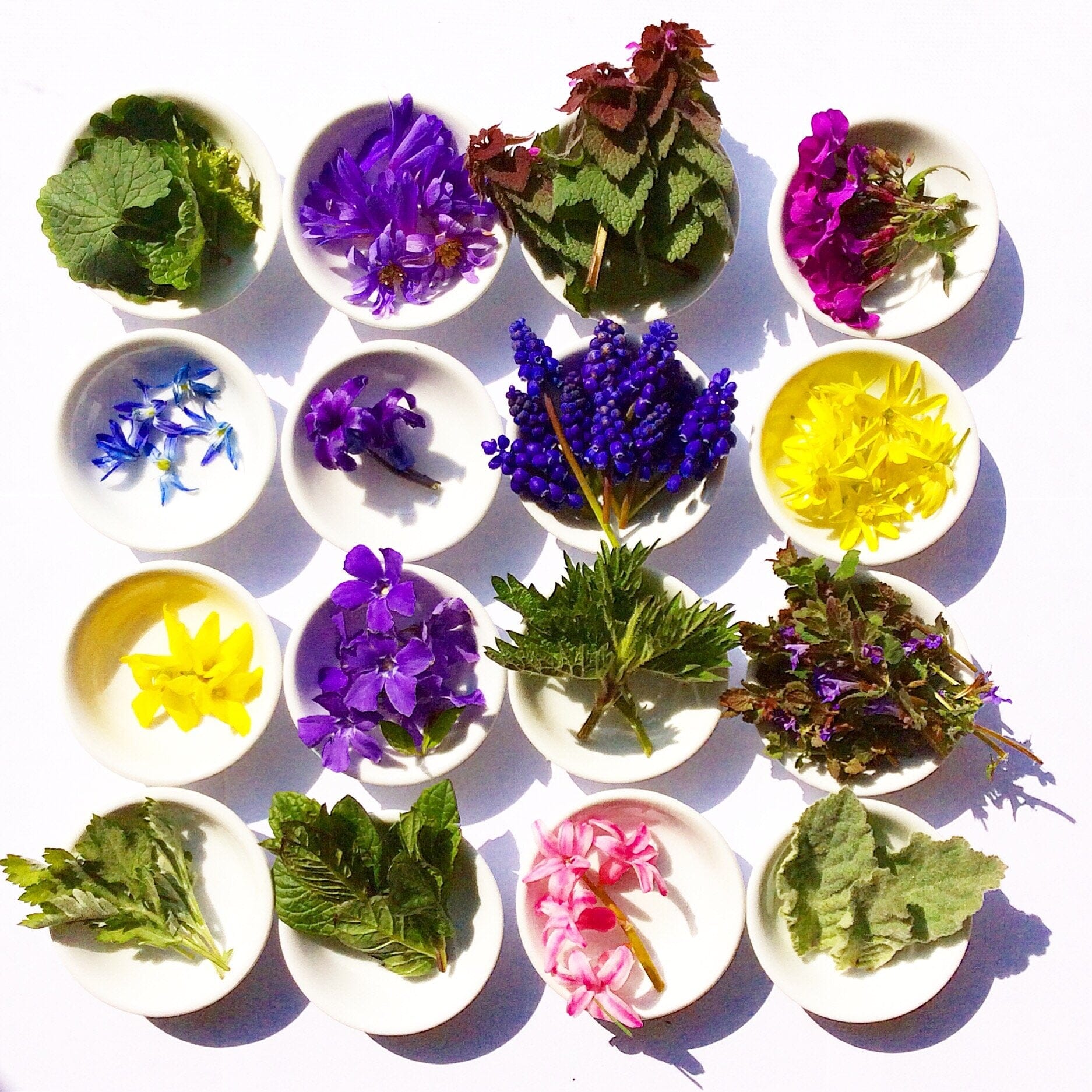 plant makeup Wild Flower Hair Serum