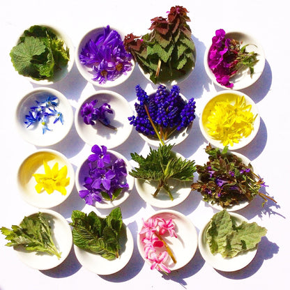 plant makeup Wild Flower Hair Serum