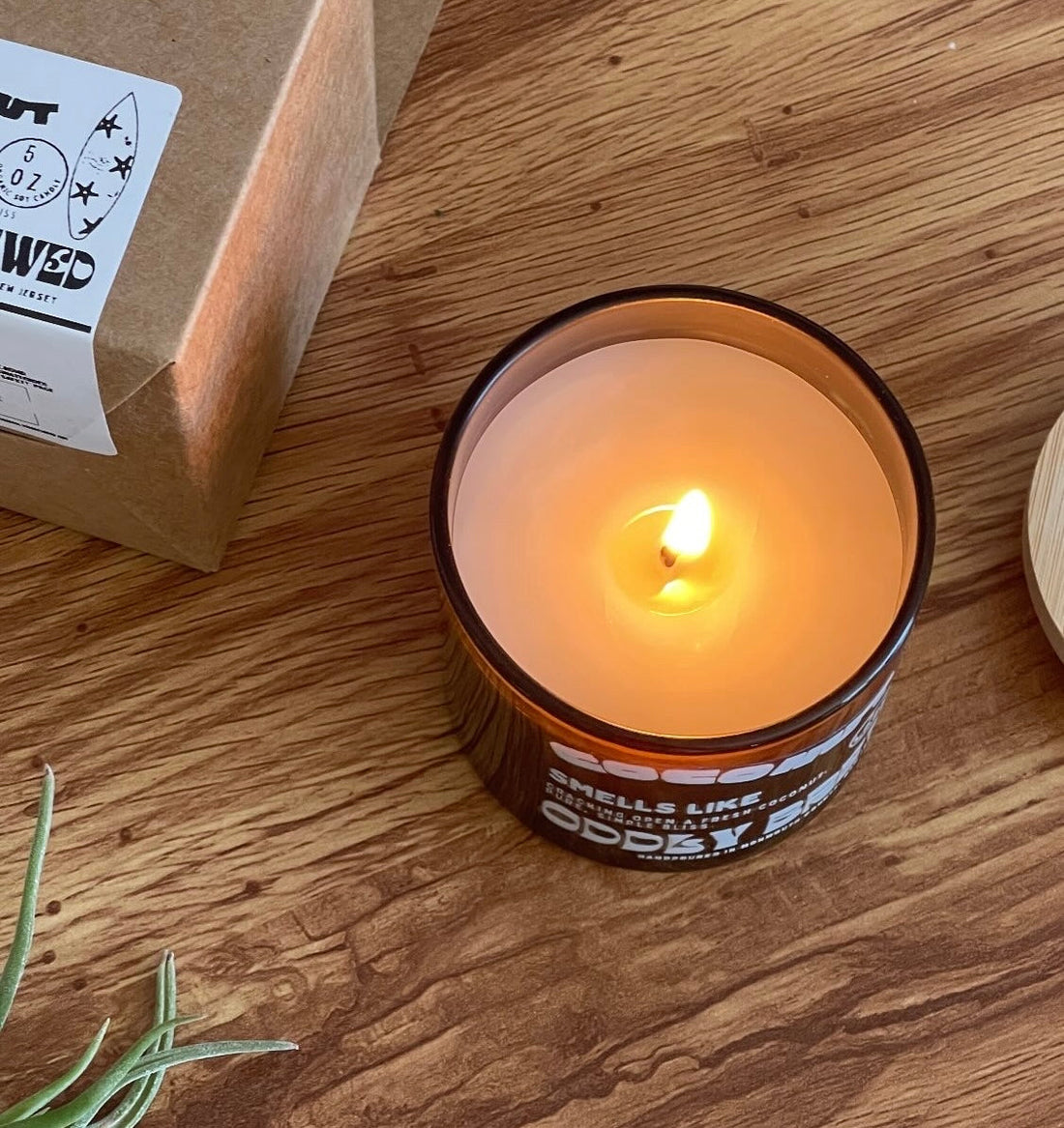 Coconut Soy Candle Mini