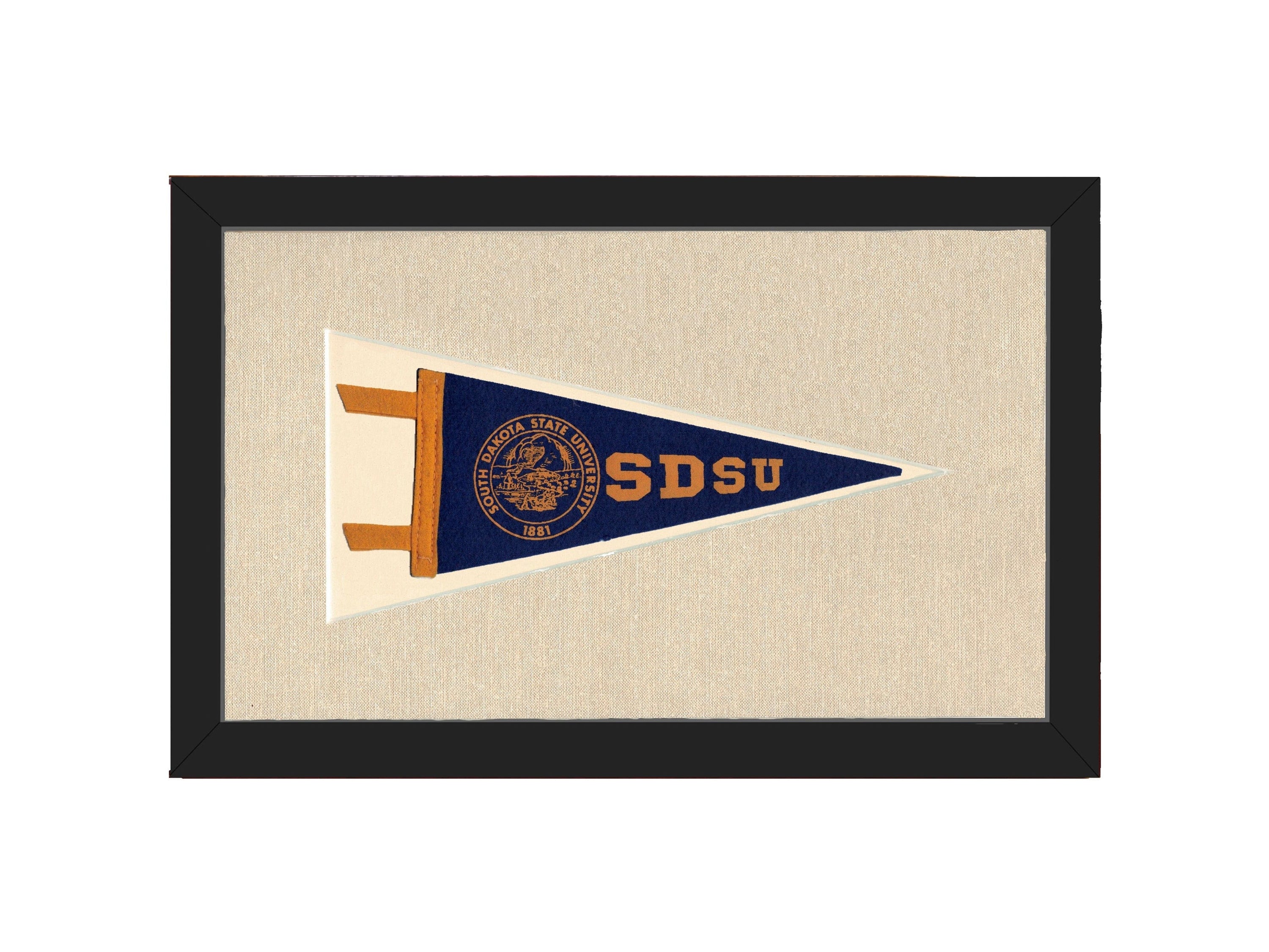 Americana Memories Vintage Pennants and Memorabilia Vintage South Dakota State University Pennant