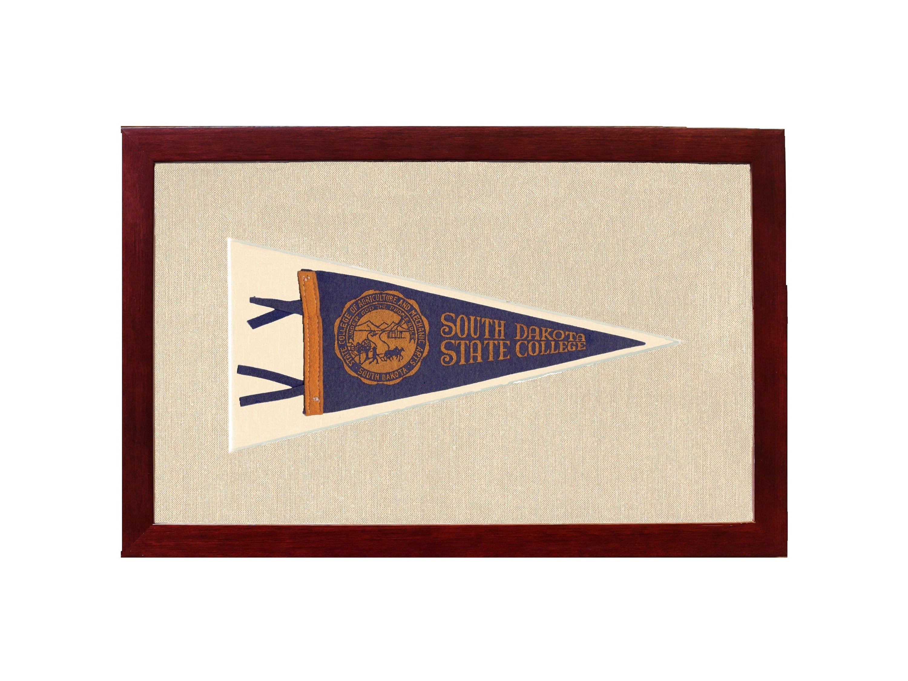 Americana Memories Vintage Pennants and Memorabilia Vintage South Dakota State College Pennant