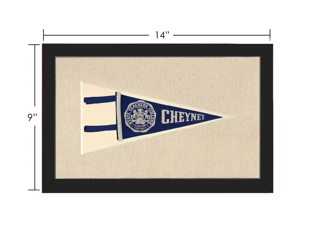 Vintage State Teachers College Pennant