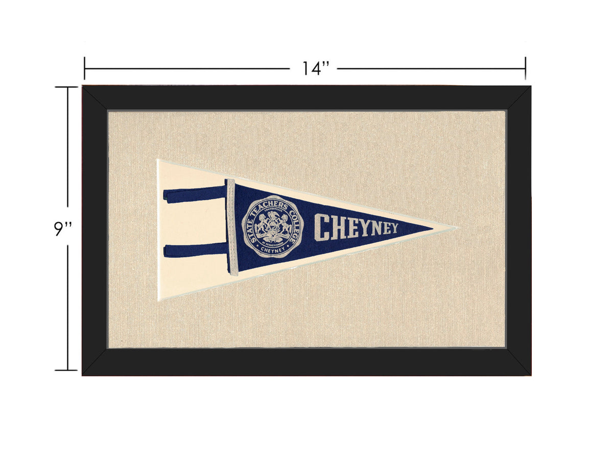 Vintage State Teachers College Pennant