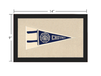 Vintage State Teachers College Pennant